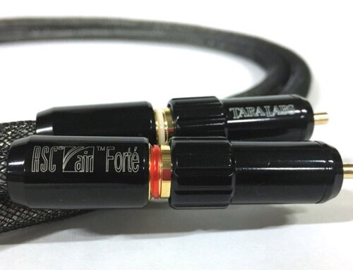 Air Forté – XLR/RCA
